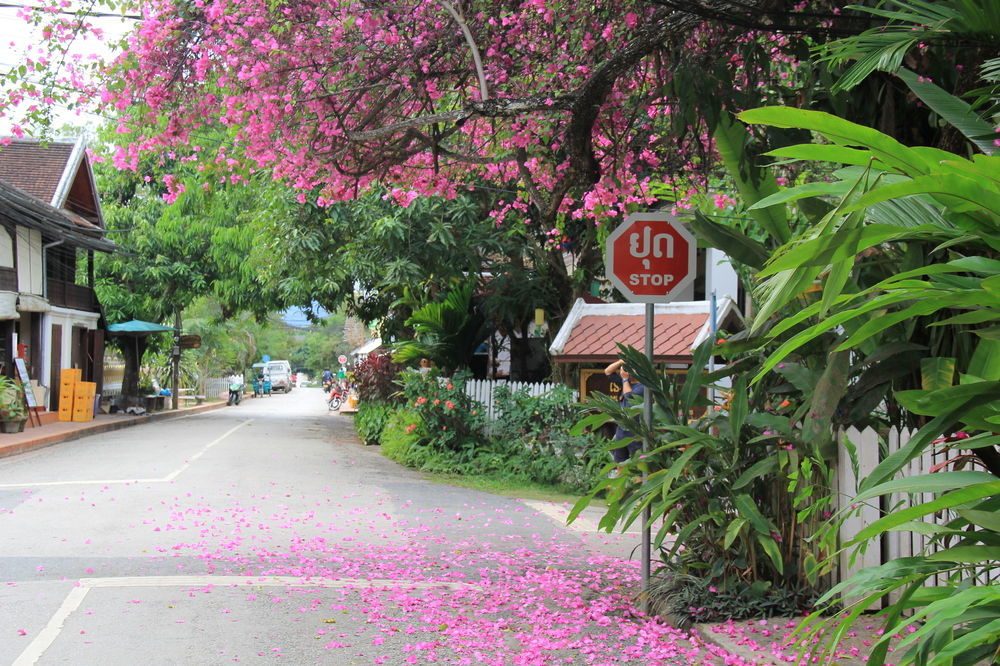 Wisdom Laos Hotel Luang Prabang Luaran gambar