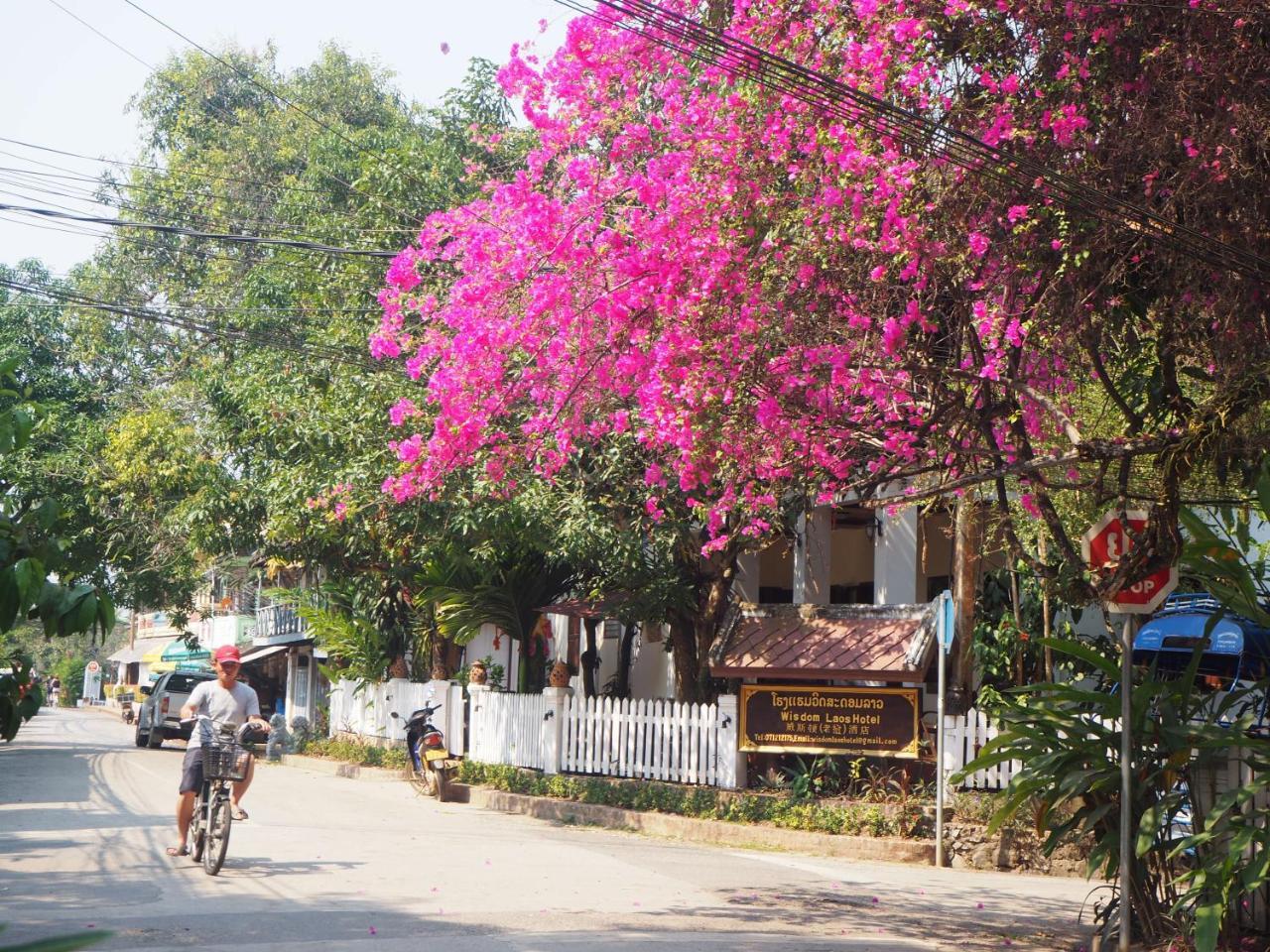 Wisdom Laos Hotel Luang Prabang Luaran gambar